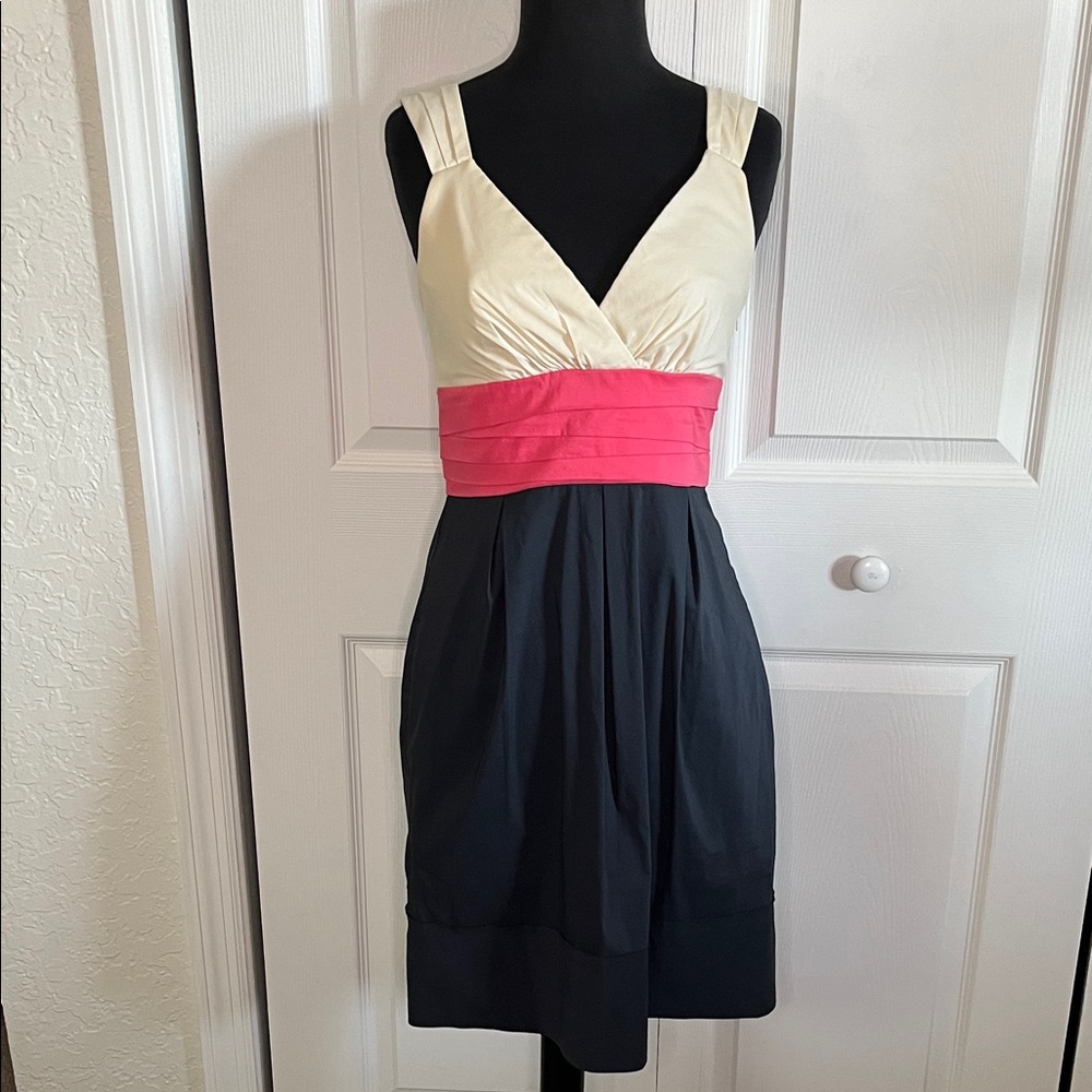 BCBGMaxAzria Cream, Pink, and Navy Mini Dress Size 2